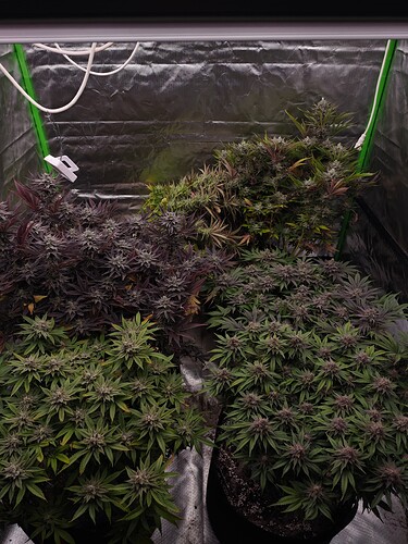 Growreport Bild 21