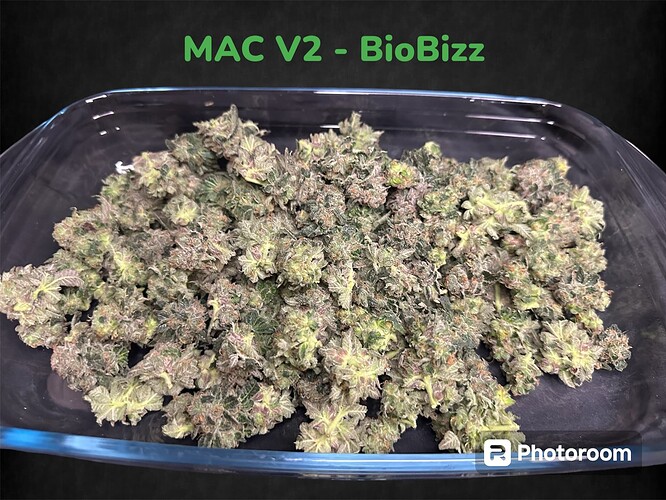Growreport Bild 6