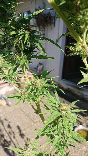 Growreport Bild 22