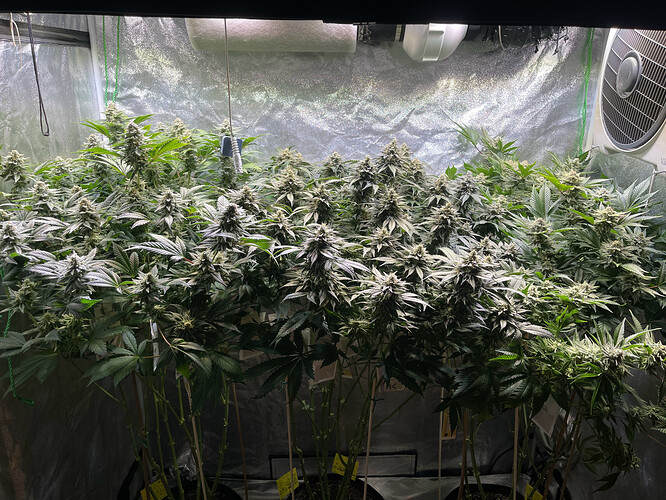 Growreport Bild 11