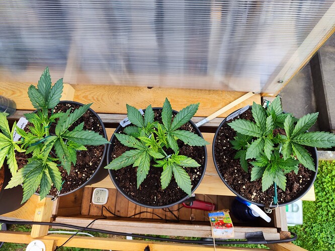 Growreport Bild 8