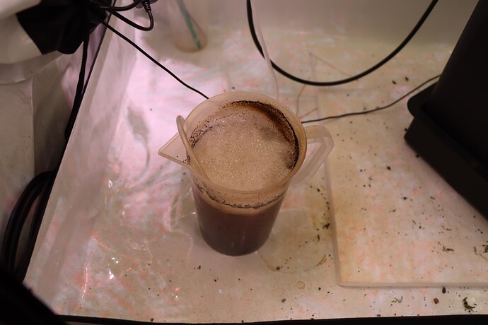 Growreport Bild 3