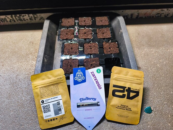 Growreport Bild 6
