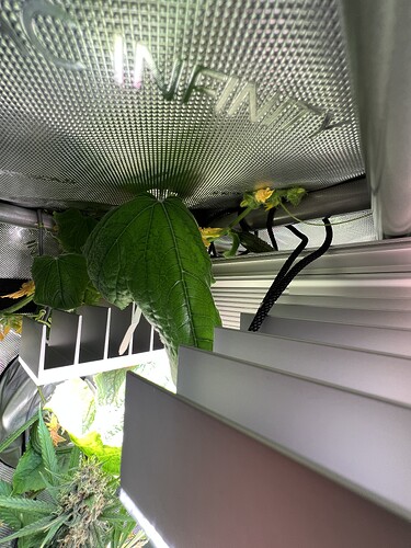 Growreport Bild 12