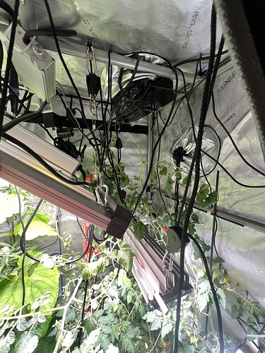 Growreport Bild 4