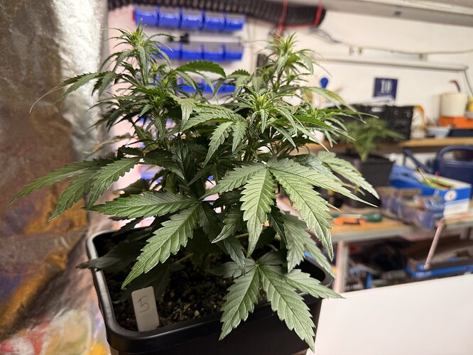 Growreport Bild 3