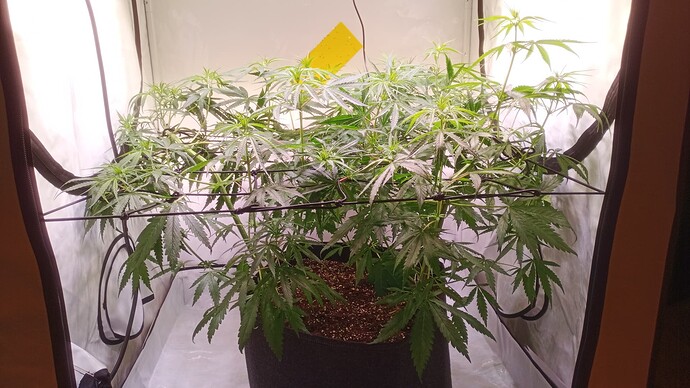 Growreport Bild 14