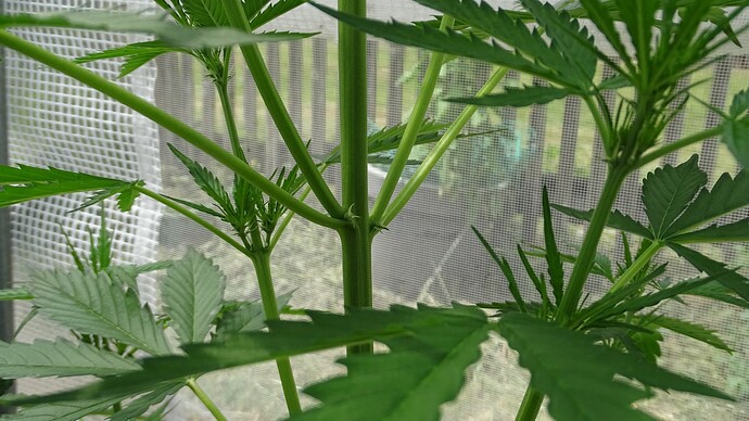 Growreport Bild 7