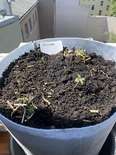 Growreport Bild 18