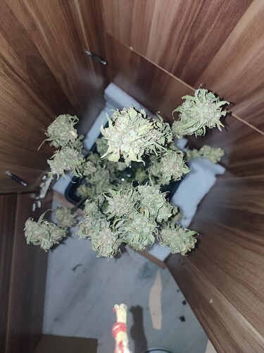 Growreport Bild 17