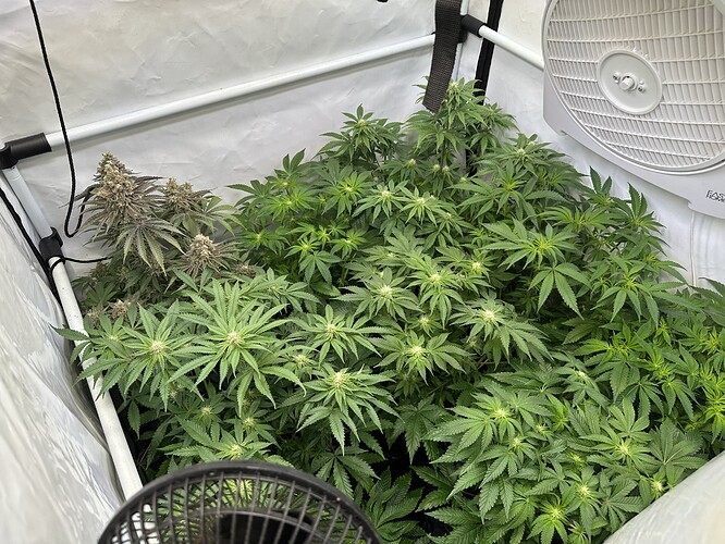 Growreport Bild 5
