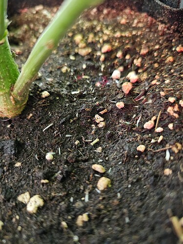 Growreport Bild 4