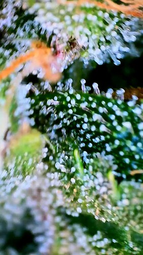 Growreport Bild 10