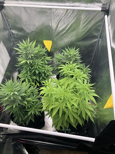 Growreport Bild 1