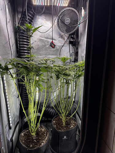 Growreport Bild 1
