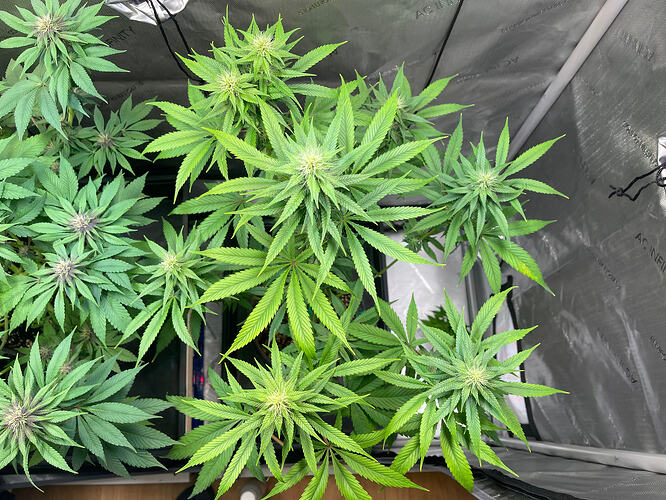 Growreport Bild 8