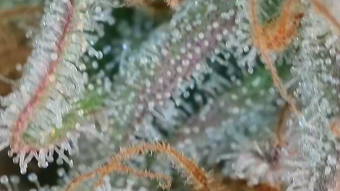 2026-03-13-074818057