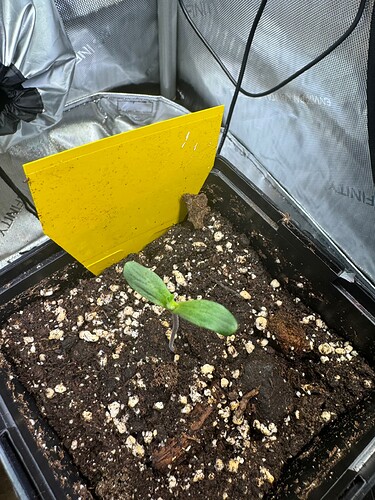 Growreport Bild 1