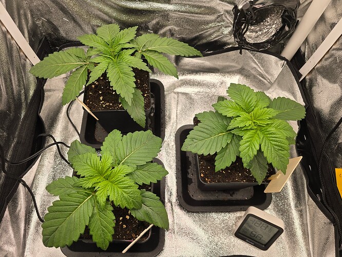Growreport Bild 14