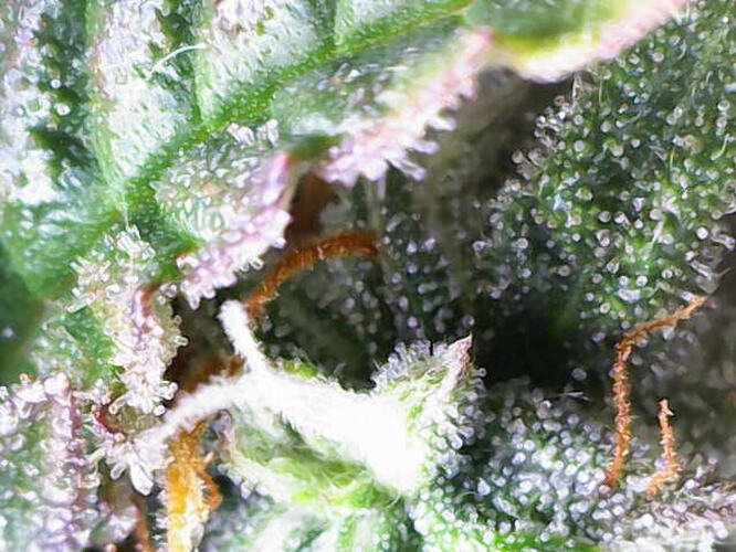 Photo_2026-03-04 16_28_47_663