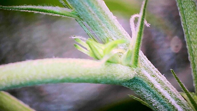 Growreport Bild 23