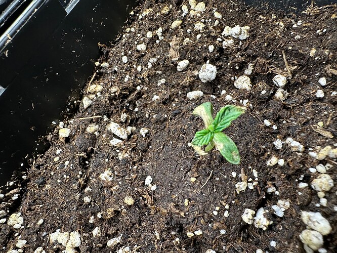 Growreport Bild 26