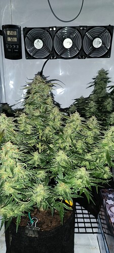 Growreport Bild 12