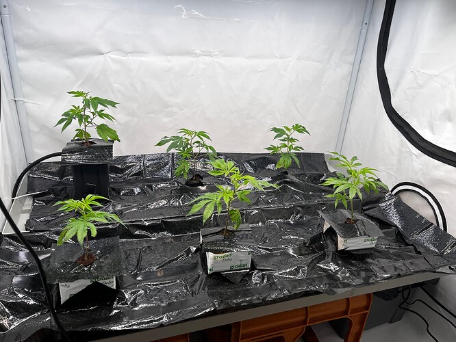 Growreport Bild 22