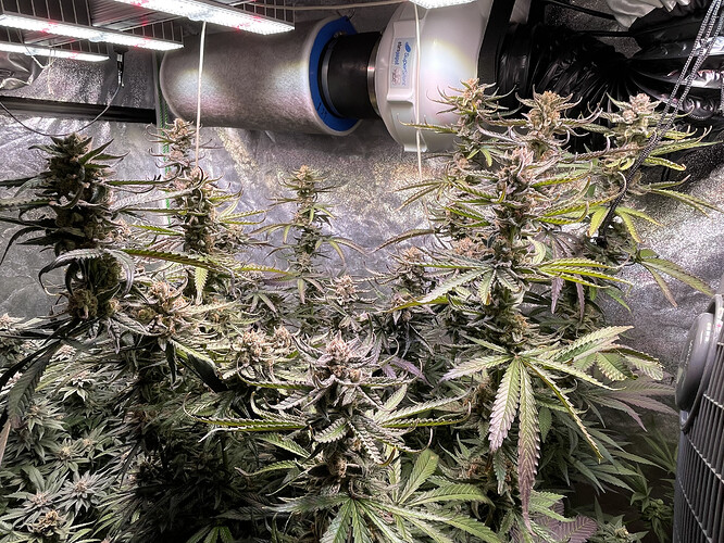 Growreport Bild 2