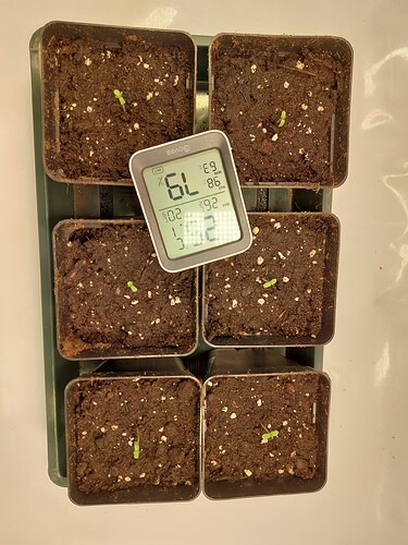 Growreport Bild 4
