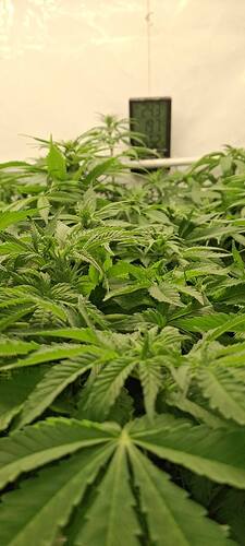 594130227_122216189294293599_3670627438470595100_n