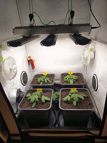 Growreport Bild 6