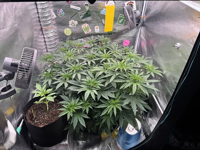 Growreport Bild 5