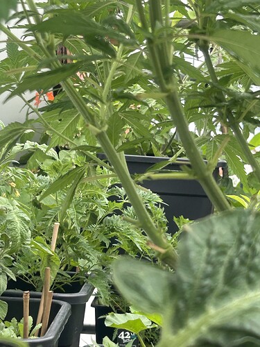 Growreport Bild 12