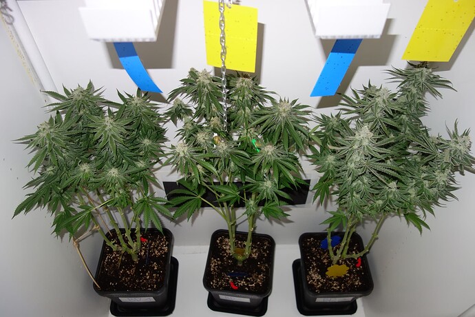 Growreport Bild 10
