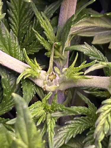 Growreport Bild 8