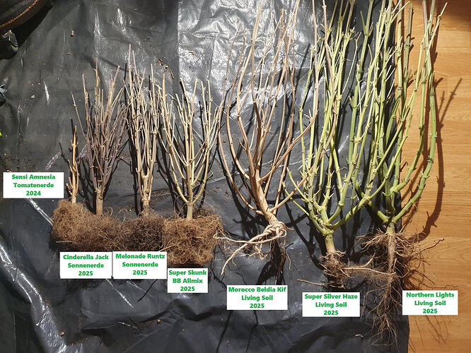 Growreport Bild 44