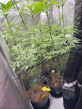 Growreport Bild 1