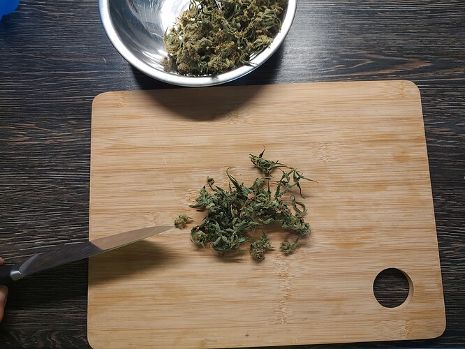 Growreport Bild 13