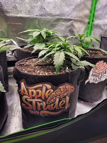 Growreport Bild 12