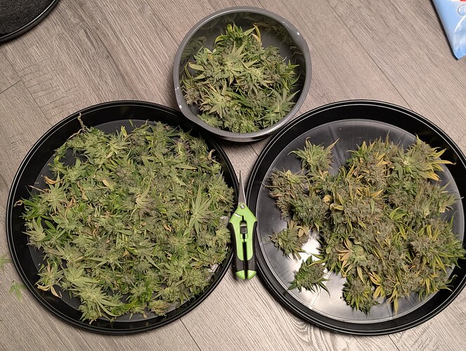 Growreport Bild 11