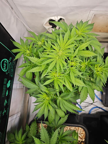 Growreport Bild 9