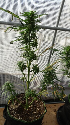 Growreport Bild 2