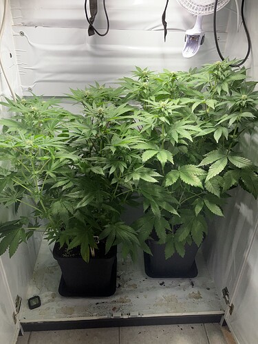 Growreport Bild 4