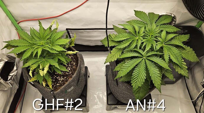 Growreport Bild 23