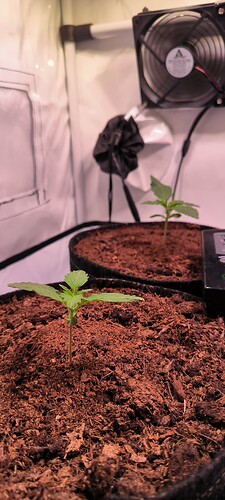 Growreport Bild 2