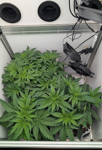 PXL_20250415_170717014.MP~2