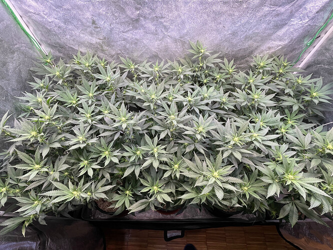Growreport Bild 11