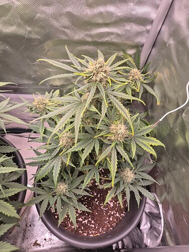 20240702_191920 - Kopie