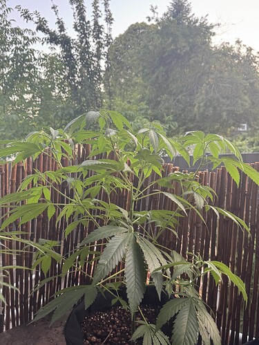 Growreport Bild 1